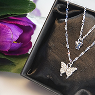 Elegance Silver Dual Layer Butterfly necklace